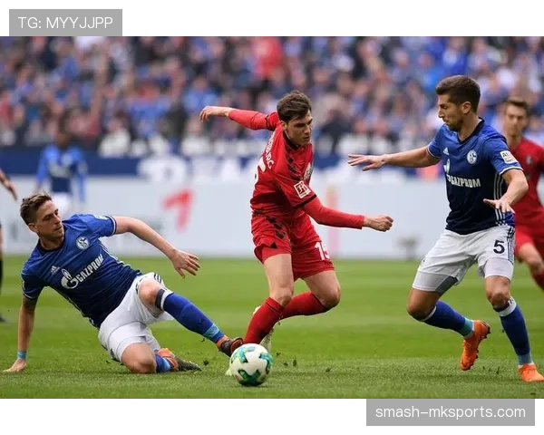 弗赖堡迎德甲新赛季里程碑，竞争力稳步提升引关注